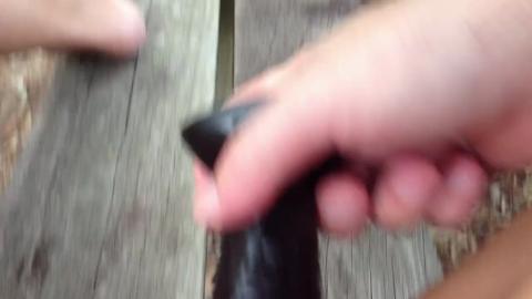 33008
