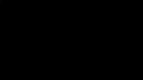 19641