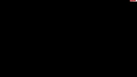 33368