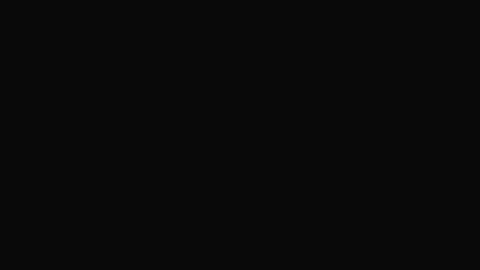 13919
